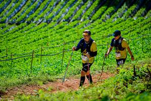 BIB: 1458
                            <button type="button" onclick="openModal(19163659)" class="btn btn-primary btn-sm float-right btn-popup" data-toggle="modal" data-target=".modal-high-quality">
                        <i class="fas fa-shopping-cart"></i> Add to Cart
                    </button>
                                            <button type="button" onclick="isThisMe(19163659, true)" class="btn btn-success btn-sm float-right btn-popup btn-isme hidden" data-toggle="tooltip" data-placement="bottom" title="นี่คือรูปของคุณใช่ไหม คลิกที่นี่เพื่อเอาเข้าอัลบั้ม">
                        <i class="fas fa-plus"></i> Add to album
                    </button>
                    <button type="button" onclick="isThisMe(19163659, false)" class="btn btn-warning btn-sm float-right btn-popup btn-isnotme hidden">
                        <i class="fas fa-ban"></i> Remove from album
                    </button>